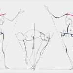 Akt Posen Vorlagen Gut Anime’s Zeichnen Lernen