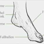 Akt Posen Vorlagen Luxus Die Besten 25 Menschen Zeichnen Lernen Ideen Auf