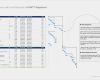 Aktionsplan Projektmanagement Vorlage Beste Snap Nett Mentoring Aktionsplan Vorlage Ideen Entry Level