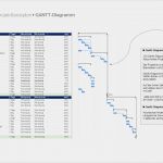 Aktionsplan Projektmanagement Vorlage Einzigartig Snap Nett Mentoring Aktionsplan Vorlage Ideen Entry Level