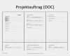 Aktionsplan Projektmanagement Vorlage Inspiration Projektauftrag In Word Projektmanagement