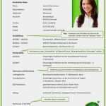 Aktueller Lebenslauf Vorlage Best Of 11 Free Muster Aktueller Lebenslauf 2017 Tipps
