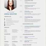 Aktueller Lebenslauf Vorlage Best Of 11 Interessen Im Lebenslauf Vorlagen123 Vorlagen123