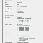 Aktueller Lebenslauf Vorlage Erstaunlich Lebenslauf Muster & Vorlagen Für Bewerbung 2019