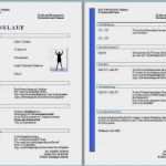 Aktueller Lebenslauf Vorlage Word Beste 15 Vorlage Lebenslauf Word