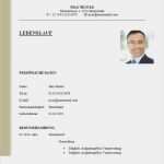 Aktueller Lebenslauf Vorlage Word Erstaunlich Professioneller Lebenslauf Vorlage Kostenlos Lebenslauf