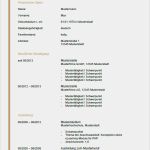 Aktueller Lebenslauf Vorlage Word Gut Tabellarischer Lebenslauf Vordruck Bewerbung