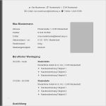Aktueller Lebenslauf Vorlage Word Wunderbar Lebenslauf Muster &amp; Vorlagen Für Bewerbung 2018