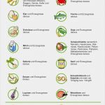 Allergenkennzeichnung Gastronomie Vorlage Neu Allergene Mit Symbolen Übersicht Ländle