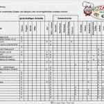 Allergenkennzeichnung Speisekarte Vorlage Beste Allergene Kennzeichnung