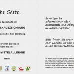 Allergenkennzeichnung Speisekarte Vorlage Erstaunlich Umsetzung Der Allergen Kennzeichnung
