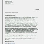 Allgemeines Anschreiben Vorlage Cool Muster Bewerbungsschreiben Bewerbungsanschreiben 2019