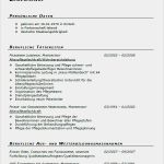 Altenpflege Bewerbung Vorlage Schönste Bewerbung Für Altenpfleger Innen Mit Berufserfahrung