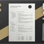 American Express Kündigen Vorlage Schönste Lebenslauf 2 Seiten