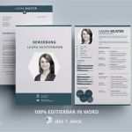 Amerikanische Rechnung Vorlage Gut 15 Kreative Lebensläufe