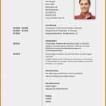 Amerikanische Rechnung Vorlage Süß 13 Fsj Im Lebenslauf