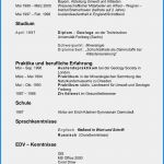 Amerikanische Rechnung Vorlage Süß 14 Gandhi Lebenslauf