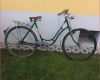 Anamnese Fragebogen Vorlage Elegant 57 Kaufvertrag Fahrrad Vorlage Word Laurencopeland