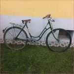 Anamnese Fragebogen Vorlage Elegant 57 Kaufvertrag Fahrrad Vorlage Word Laurencopeland