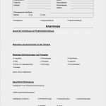 Anamnesebogen Allgemeinmedizin Vorlage Elegant Anamnesebogen Für Avws Und Lrs Diagnostik Kindersprache