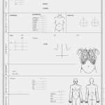 Anamnesebogen Allgemeinmedizin Vorlage Elegant Anamnesebogen Ganzkörperstatus 100 Blatt