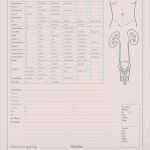 Anamnesebogen Allgemeinmedizin Vorlage Fabelhaft Med org Anamnesebogen Urologie