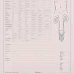 Anamnesebogen Allgemeinmedizin Vorlage Genial Med org Anamnesebogen Urologie