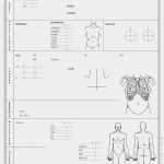 Anamnesebogen Allgemeinmedizin Vorlage Inspiration Anamnesebogen Ganzkörperstatus 500 Blatt