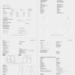 Anamnesebogen Kosmetik Vorlage Erstaunlich Untersuchungs Und Anamnesebogen Als Pdf