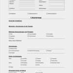 Anamnesebogen Kosmetik Vorlage Gut Anamnese Und Diagnostikbogen Mfs Mundmotorik Madoo