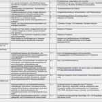 Anforderungsanalyse Vorlage Bewundernswert Groß Problemanalyse Vorlage Galerie