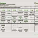 Anforderungsliste Vorlage Excel Angenehm Wunderbar Excel Entscheidungsmatrix Vorlage Galerie