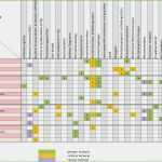 Anforderungsliste Vorlage Excel Elegant Anforderungsliste Vorlage Wunderbare Raci Matrix