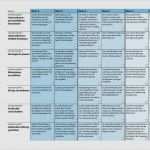 Anforderungsprofil Vorlage Gut Gut Anforderungsprofil Vorlage Kostenlos Ideen