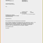 Angebot Absagen Vorlage Hübsch 9 Geschäftsbrief Angebot Muster