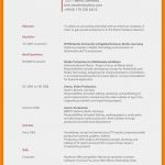 Angebot Englisch Vorlage Best Of 8 Lebenslauf Englisch Muster