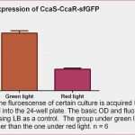 Angebot Freelancer Vorlage Erstaunlich Angebot Freelancer Vorlage Ghabon – Just Another Wordpress