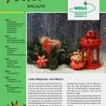 Angebot Hausmeisterservice Vorlage Erstaunlich Mieterzeitung