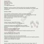 Angebot Text Vorlage Schönste Angebot Freelancer Vorlage Ghabon – Just Another Wordpress