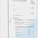 Angebot Treppenhausreinigung Vorlage Elegant Putzplan Treppenhausreinigung Vorlage Reinigungsplan Küche