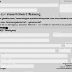Anmeldung Freiberufliche Tätigkeit Finanzamt Vorlage Luxus Fragebogen Zur Steuerlichen Erfassung Freiberuflerine