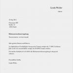 Anmeldung Freiberufliche Tätigkeit Finanzamt Vorlage Süß Buchhaltung Das Musst Du Als Selbstständiger Wissen
