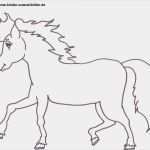 Anmeldung Kindergarten Vorlage Inspiration Malvorlagen Pferde Und Pony Kostenlos Malvorlagen