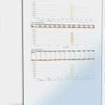 Annuitätendarlehen Excel Vorlage Wunderbar Darlehensverwaltung