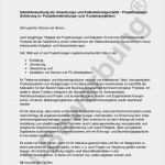 Anschreiben Projektmanager Vorlage Genial 135 Besten Anschreiben Inhalt Initiativbewerbung I