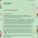 Anschreiben Vorlage Bewerbung Küchenhilfe Erstaunlich Bewerbungsschreiben Als Kchenhilfe Elegant Servicekraft