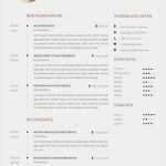 Antichronologischer Lebenslauf Vorlage Erstaunlich 77 Lebenslauf Muster Und Vorlagen Für 2019