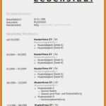 Antichronologischer Lebenslauf Vorlage Erstaunlich 8 Chronologischer Lebenslauf Muster