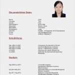 Antichronologischer Lebenslauf Vorlage Erstaunlich Lebenslauf Von Ting Zhao