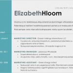 Antichronologischer Lebenslauf Vorlage Süß 15 top Microsoft Word Lebenslauf Vorlagen Völlig Kostenlos